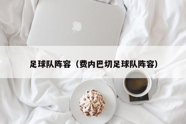 足球队阵容（费内巴切足球队阵容）